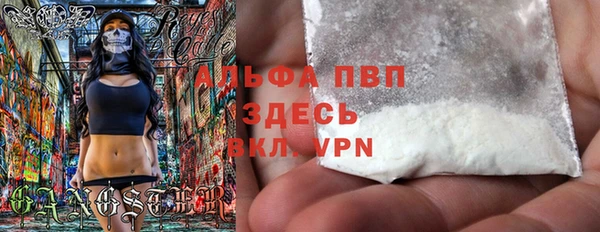 ГАЛЛЮЦИНОГЕННЫЕ ГРИБЫ Няндома