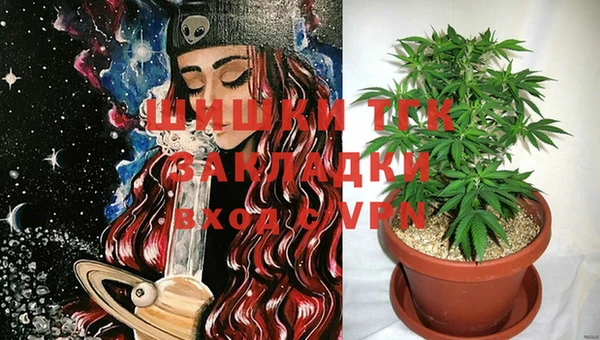 ешки Бронницы