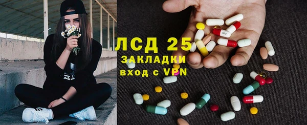 ГАЛЛЮЦИНОГЕННЫЕ ГРИБЫ Няндома