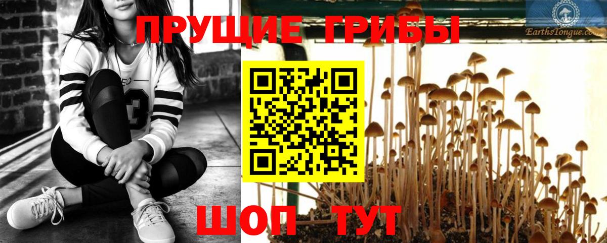 Ухта  Псилоцибиновые грибы Psilocybine cubensis  Псилоцибиновые грибы Magic Shrooms  Вход с VPN 